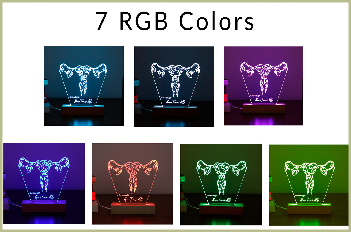 3D illusion lamp featuring a detailed female reproductive system design with elegant floral accents, illuminated in a white tone, perfect as a unique and thoughtful gift for gynecologists or OB-GYN professionals.